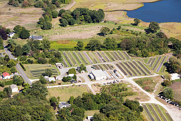 county polytunnels, newport, rhode island, eua - aquidneck island - fotografias e filmes do acervo