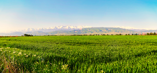 Panoramic view of the idyllic mountain landscape. Fresh green meadows at sunrise in springtime, mountains lit by the rising sun