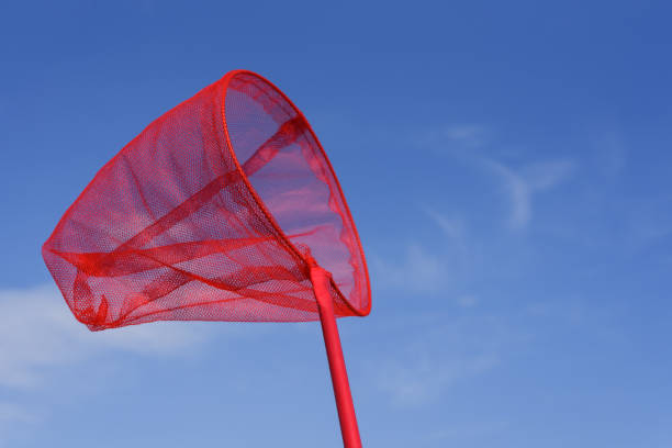 Net for catching butterflies or sea fish. Summer fun for kids. Sunny weather. Contrast colors - red and blue