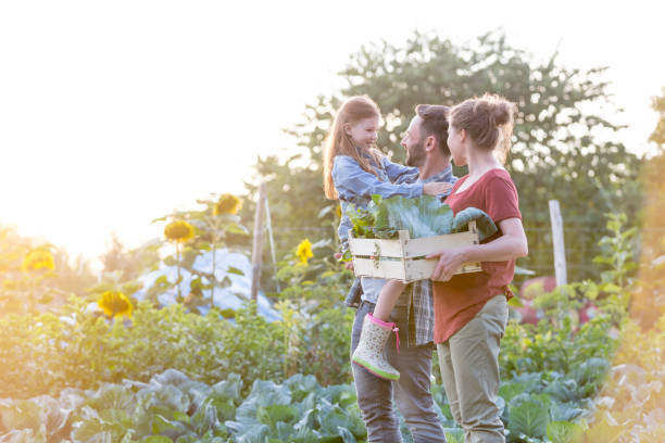 istock Parents looking at daughter while walking with crate in farm 1148547351