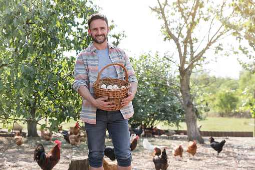 Man holding eggs in basket with chickens in background at farm