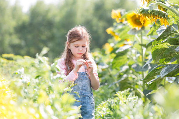 istock Innocent girl standing by sunflower plants at farm 1148547607