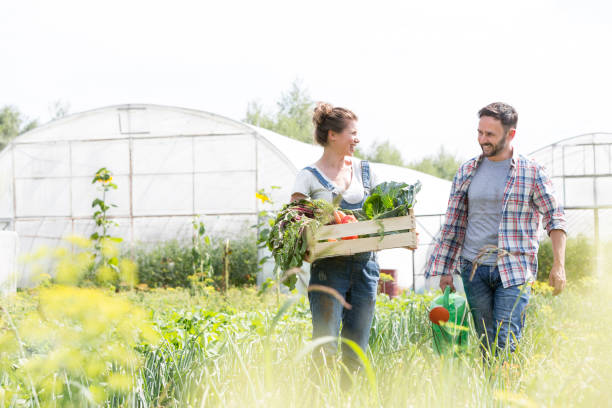 istock Happy couple talking while holding vegetable crate with watering can at farm 1148547655