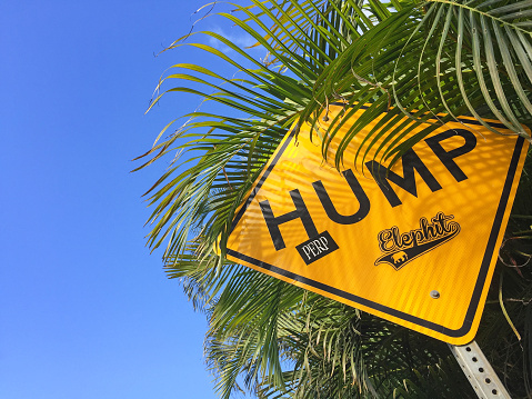 A street sign Street sign in Hanalei, Kauai, warns drivers of hump on the road near Hanalei Bay, a famous beach on the island's north shore.