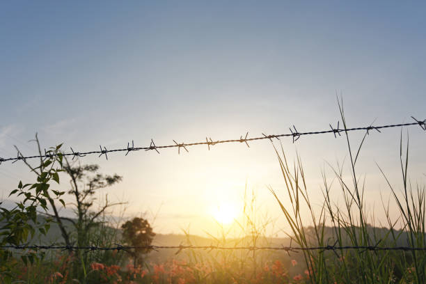 istock Sunset over fields with barbed wire fences. 1148550767