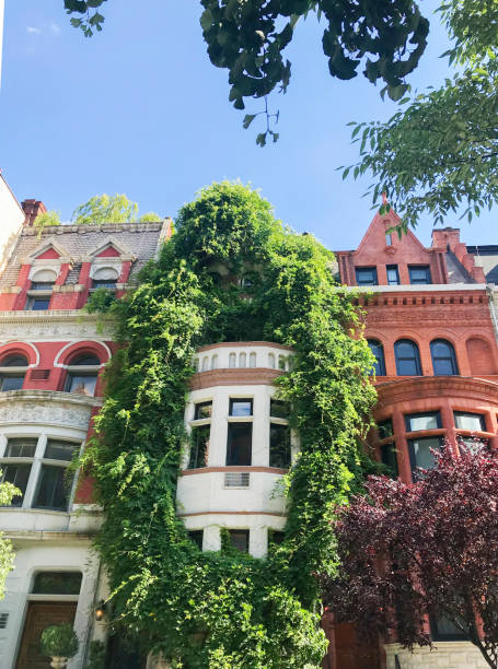 istock Beautiful NYC Brownstone Walk Ups 1148551386
