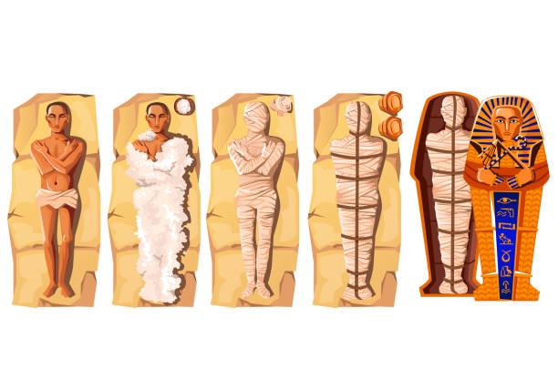 Mummy creation cartoon vector illustration Mummy creation cartoon vector illustration. Stages of mummification process, embalming dead body, wrapping it with cloth and placing in Egyptian sarcophagus. Traditions of ancient Egypt, cult of dead ancient egyptian art stock illustrations