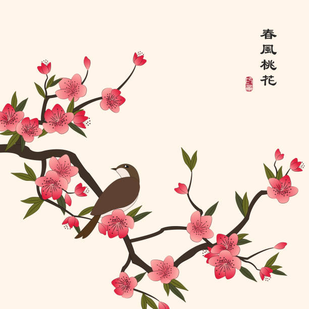 illustrations, cliparts, dessins animés et icônes de rétro coloré style chinois vecteur illustration fleur de pêche blossom et un petit oiseau debout sur la branche - bird spring branch phoebe