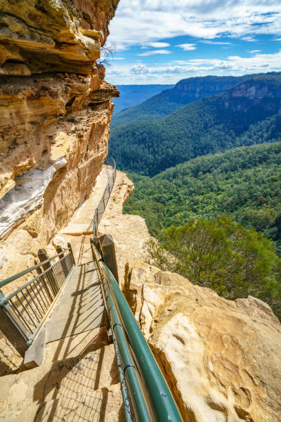 istock hiking in the blue mountains national park, australia 1148561981