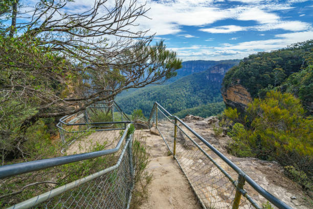 hiking the national pass walking track in the blue mountains national park, new south wales, australia