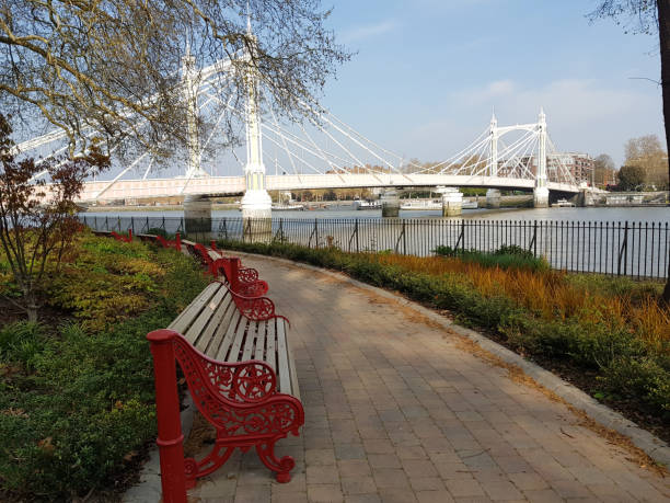 istock View of the Albert bridge, London, England. 1148563709