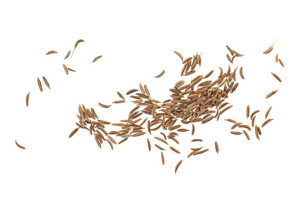 istock Cumin or caraway seeds isolated on white background. Top view. 1148563880