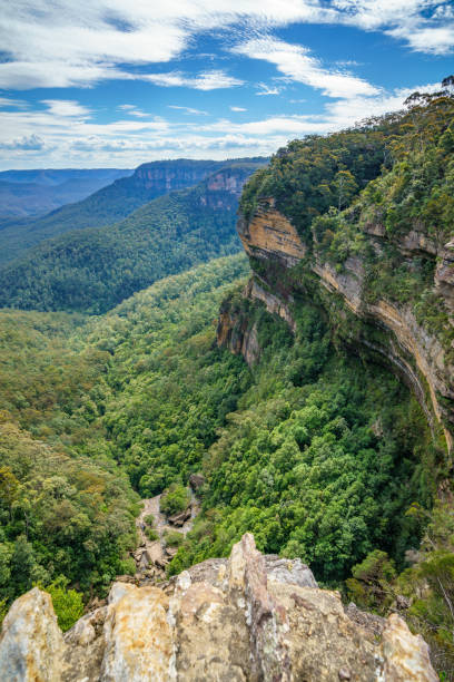 istock hiking in the blue mountains national park, australia 1148564529