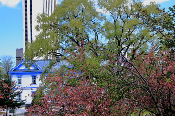 istock Sakura scenery of Sapporo Park 1148565115