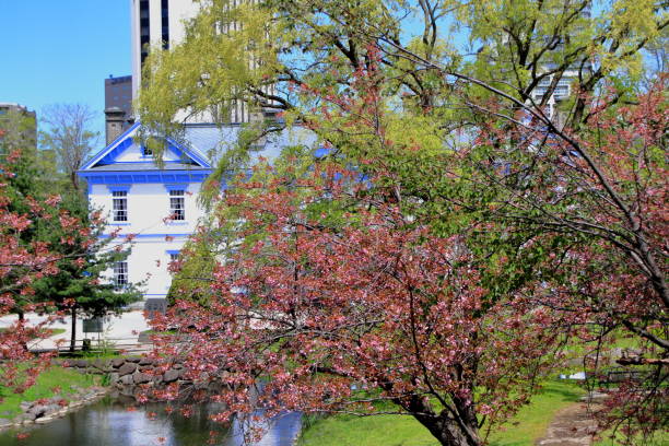 istock Sakura scenery of Sapporo Park 1148565171