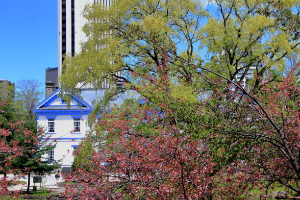 istock Sakura scenery of Sapporo Park 1148565189