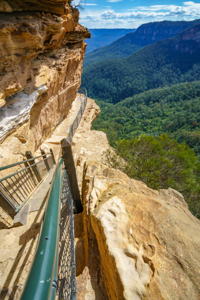 istock hiking in the blue mountains national park, australia 1148568024