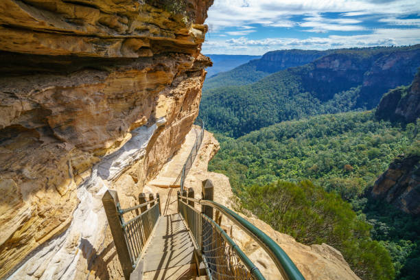 istock hiking in the blue mountains national park, australia 1148572005