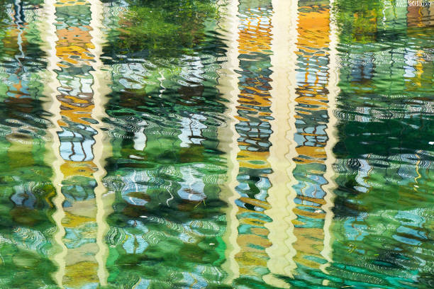 istock Building reflexion in a green water 1148573486