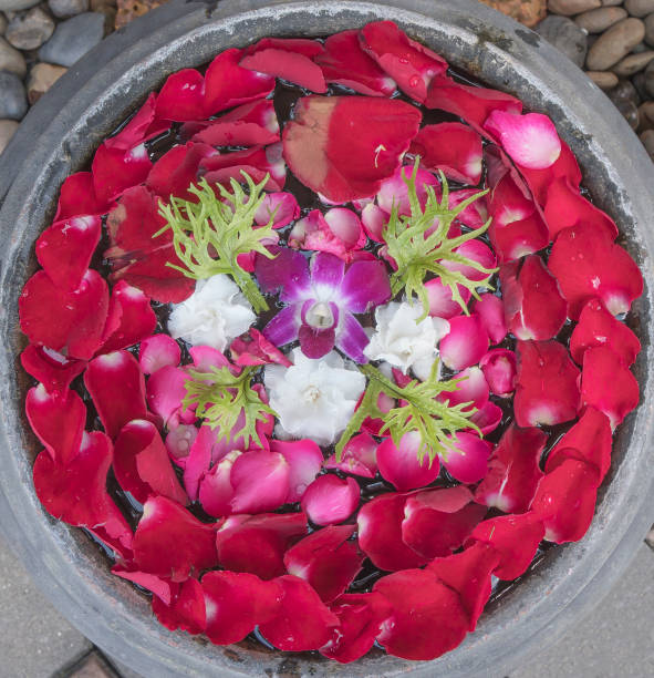 istock Rose and orchid flower latices made circle 1148573537