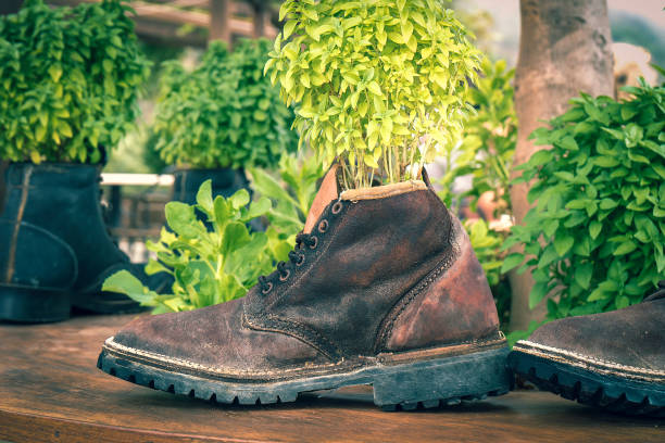 istock Leather shoe flowerpot 1148573570