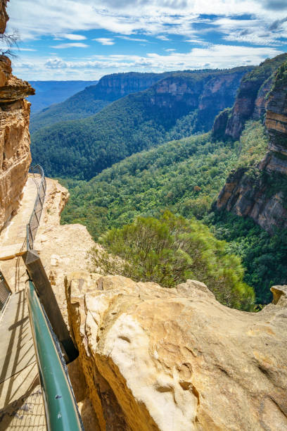 istock hiking in the blue mountains national park, australia 1148574647
