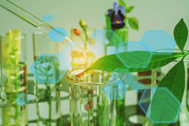 istock pipette dropping above test tube on sample chemical into herbal plants , bio technology medicine research concept. 1148575254
