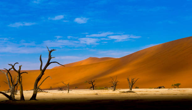 sossusvlei 砂丘 - landscape panoramic kalahari desert namibia ストックフォトと画像