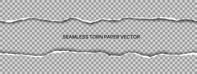 Realistic illustration of wide seamless torn paper with space for text isolated on transparent background - vector