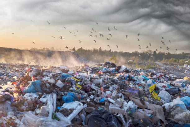 istock Sunrise Sun above the ocean of garbage 1148581053