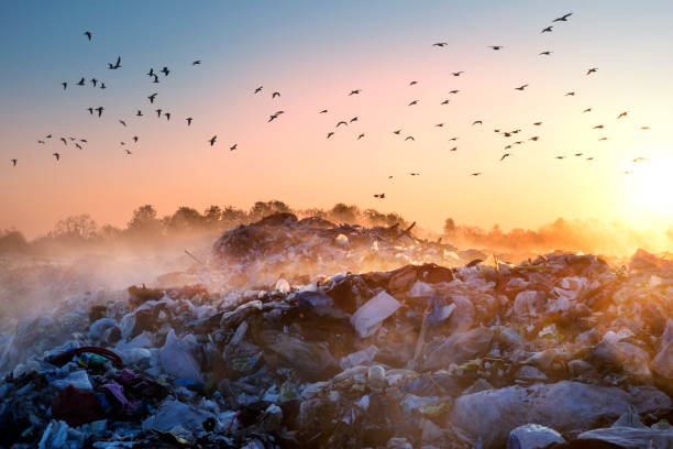Sunrise Sun above the ocean of garbage beautiful foggy dawn of the Sun over a huge field of urban garbage, saturated with poisonous fumes of decomposition of organic waste and household chemicals pollution stock pictures, royalty-free photos & images