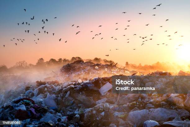 Sunrise Sun Above The Ocean Of Garbage Stock Photo - Download Image Now - Garbage, Pollution, Nature