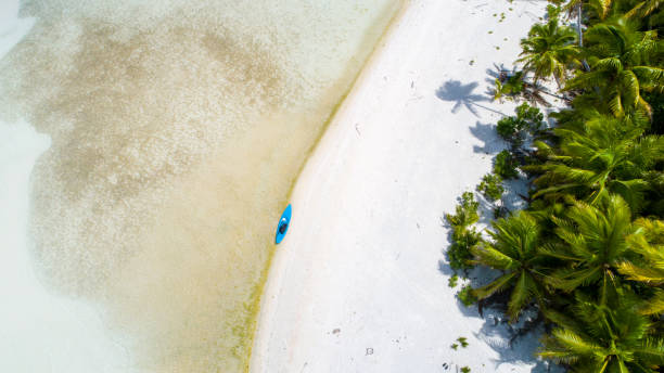 istock Paradise Beach of the South Pacific. 1148581492