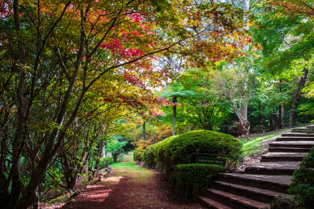 istock Stairway to Heaven 1148583131