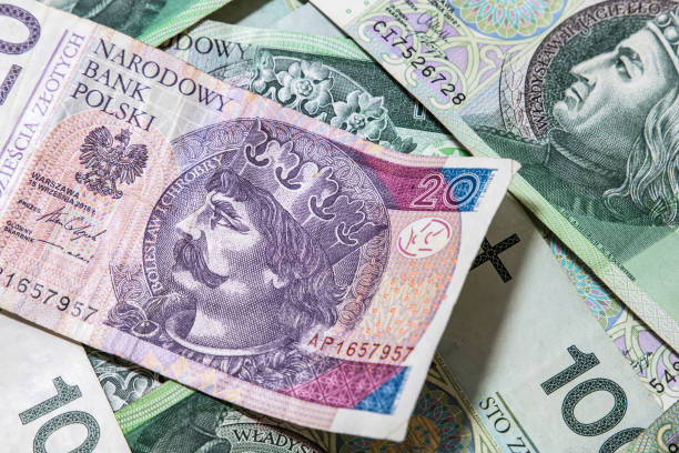 istock Polish money background 1148583412