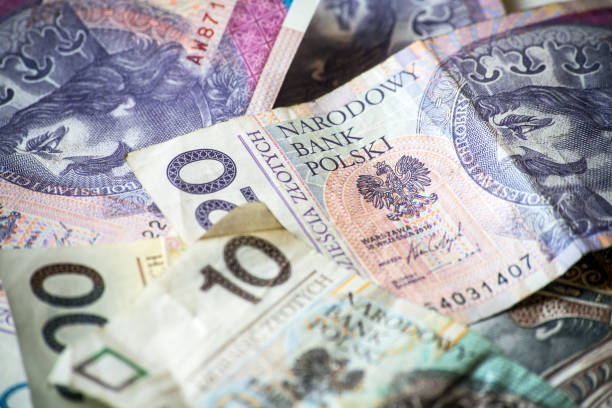 istock Polish money background 1148583562