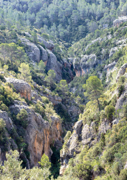 istock view of the ravine 1148583643