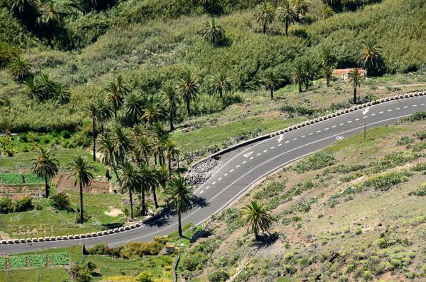 istock Palm trees along the road at Valle Gran Rey, La Gomera 1148584605
