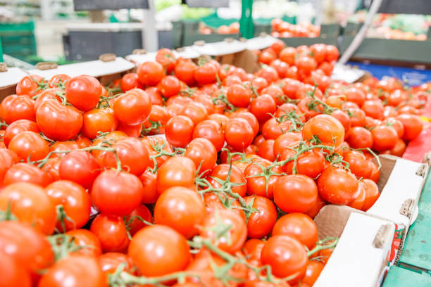 istock Ripe tomatoes at a farmers market 1148584909