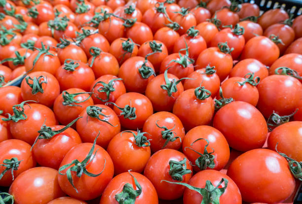 istock Ripe tomatoes at a farmers market 1148584940