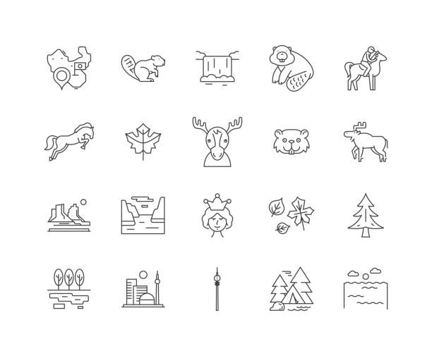 kanada linie icons, zeichen, vektor-set, umrissbilder konzept - förster wald stock-grafiken, -clipart, -cartoons und -symbole