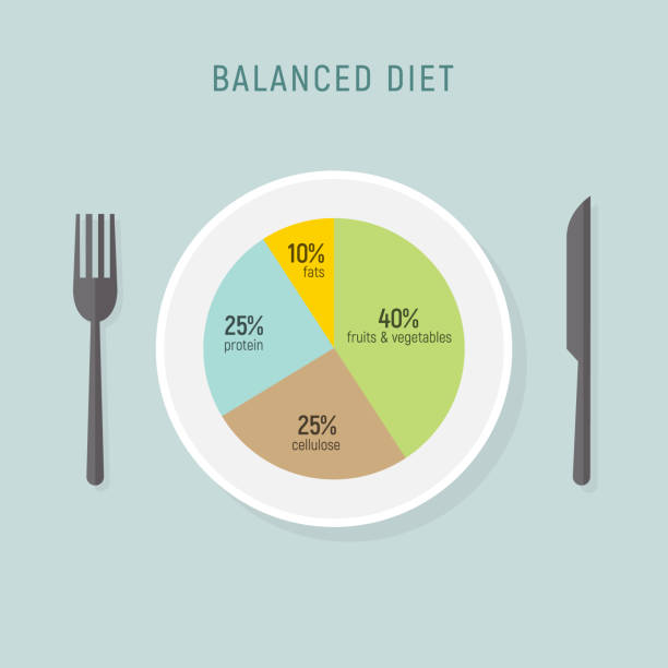 ilustrações de stock, clip art, desenhos animados e ícones de healthy diet food, balance nutrition plate. vector health meal chart infographic, diet plan concept - portion