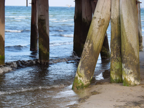 istock sopot and gdansk in poland 1148588835
