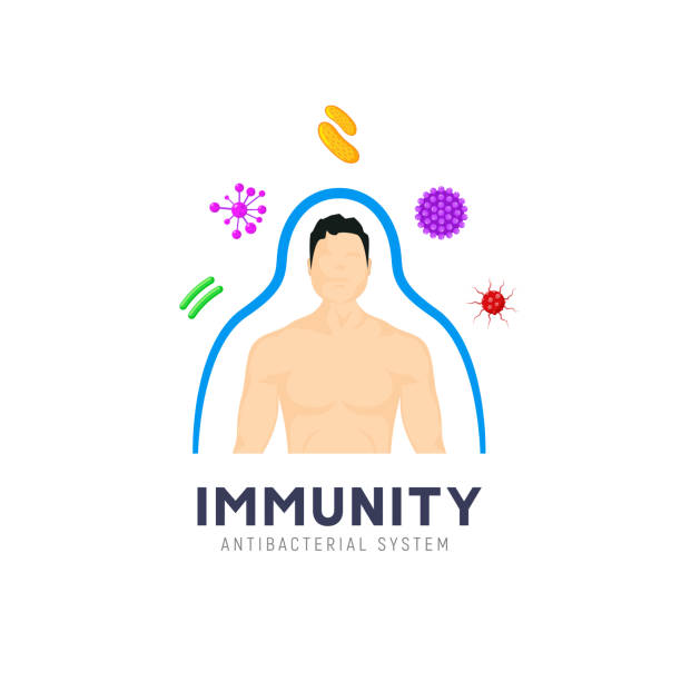 3,017 Human Body Immune System Illustrations & Clip Art - iStock