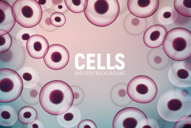 抽象的な細胞背景、人間生物学の医学の核。ベクター細胞ウイルス幹 - stem cell human cell animal cell science点のイラスト素材／クリップアート素材／マンガ素材／アイコン素材