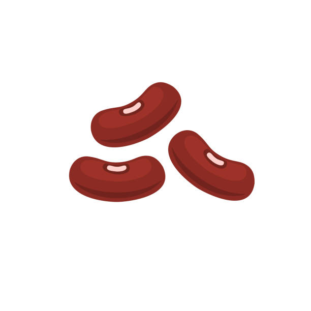 Kidney Beans Legume Red Brown Seed Kidney Bean Plant Vegetable Silhouette Flat Illustration Stock Illustration - Download Image Now - iStock Kidney Beans Legume Red Brown Seed Kidney Bean Plant Vegetable Silhouette Flat Illustration Stock Illustration - Download Image Now - iStock