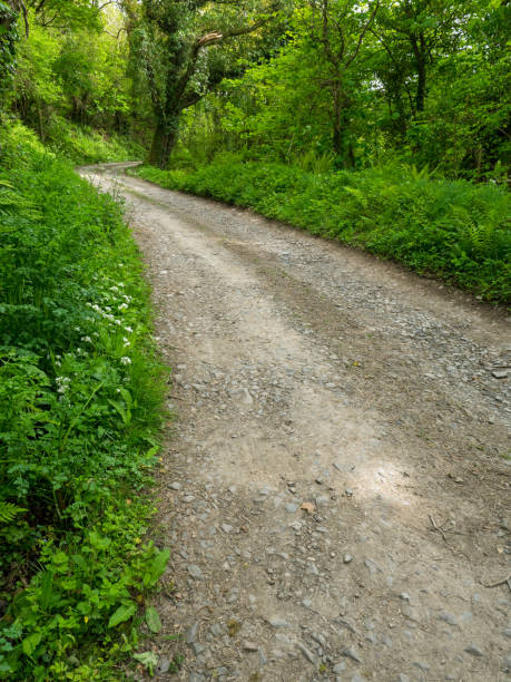istock The country pathway between Horns Cross and Ppeppercombe in North Devon , England. 1148593596