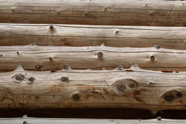 러시아 통나무 집입니다. 로그 벽의 조각입니다. 나무 배경 - log log cabin wood knotted wood 뉴스 사진 이미지