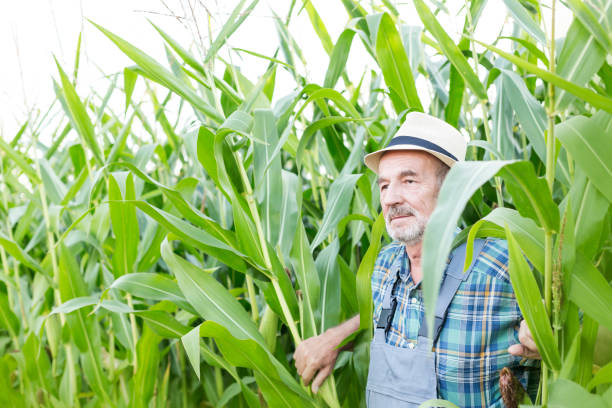 istock Thoughtful man standing against plants at farm 1148599665