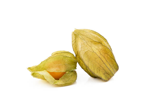 istock Healthy Cape Gooseberry (Physalis) 1148599974